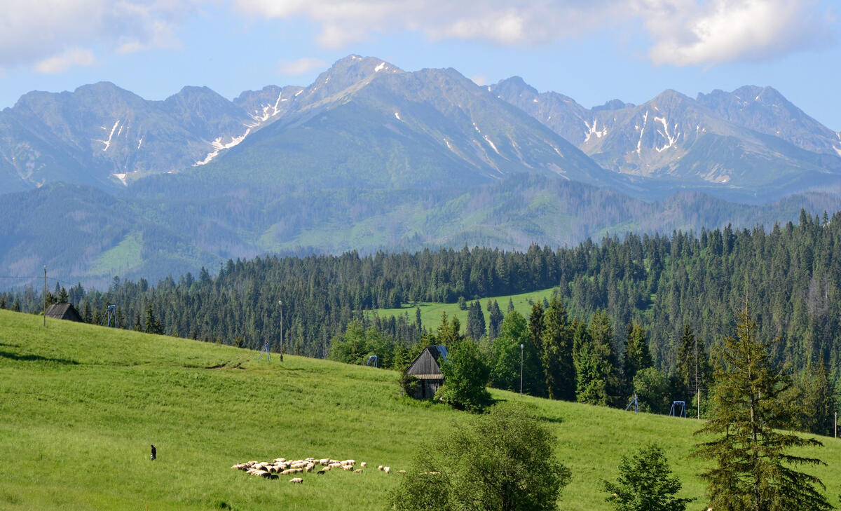 Od redakcji 64(117), czyli wakacyjne klimaty 4.